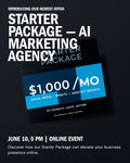 Starter Package — AI Marketing Agency | Stone Digital